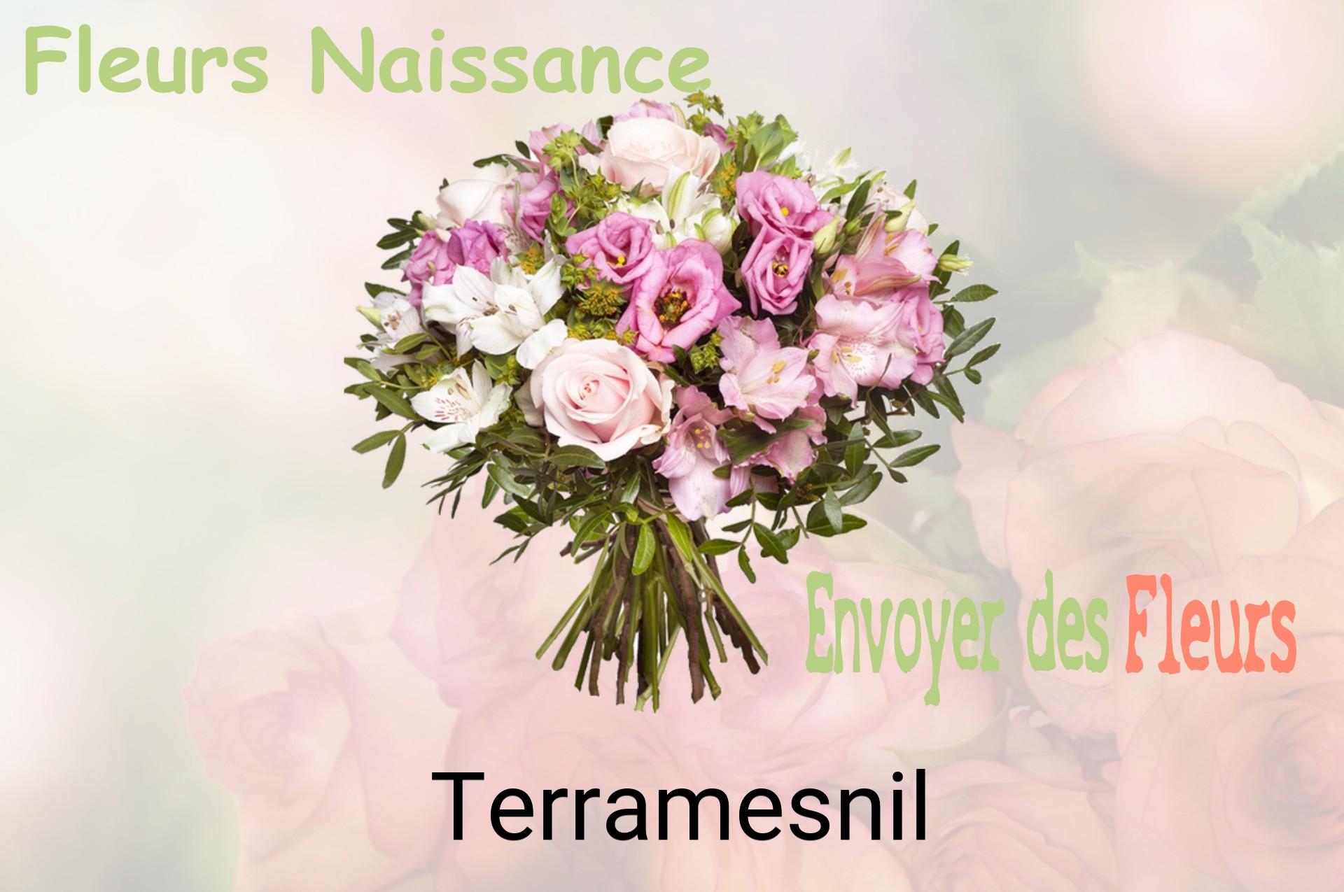 Bouquet de fleurs de naissance livré à Terramesnil
